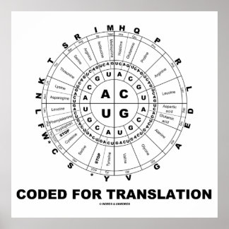 Codiert für Übersetzung (RNA Codon Wheel) Poster