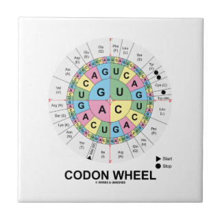 Codon-Rad (RNS Codons-Aminosäuren) Fliese