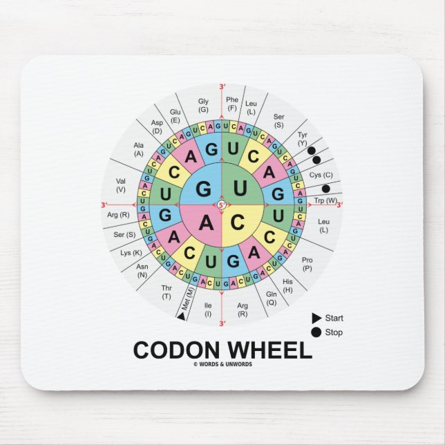 Codon-Rad (RNS Codons-Aminosäuren) Mousepad (Vorne)