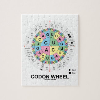 Codon-Rad (RNS Codons-Aminosäuren) Puzzle