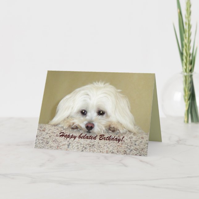 'Cody' Grußkarte Glücklich verspätete Geburtstag! Karte (Vorderseite)