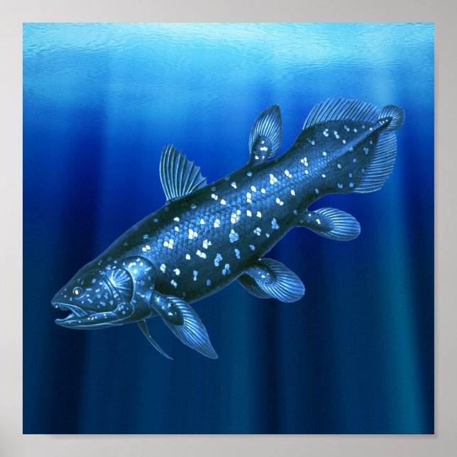 Coelacanth Poster (Vorne)