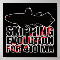 Coelacanths Coelacanth Living Fossil - Marine Geek