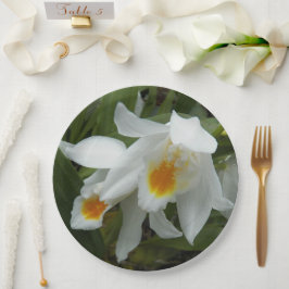 Coelogyne Mooreana Orchids Floral Pappteller