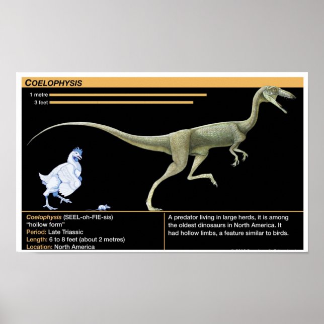 Coelophysis - Biology Jurassic Poster (Vorne)