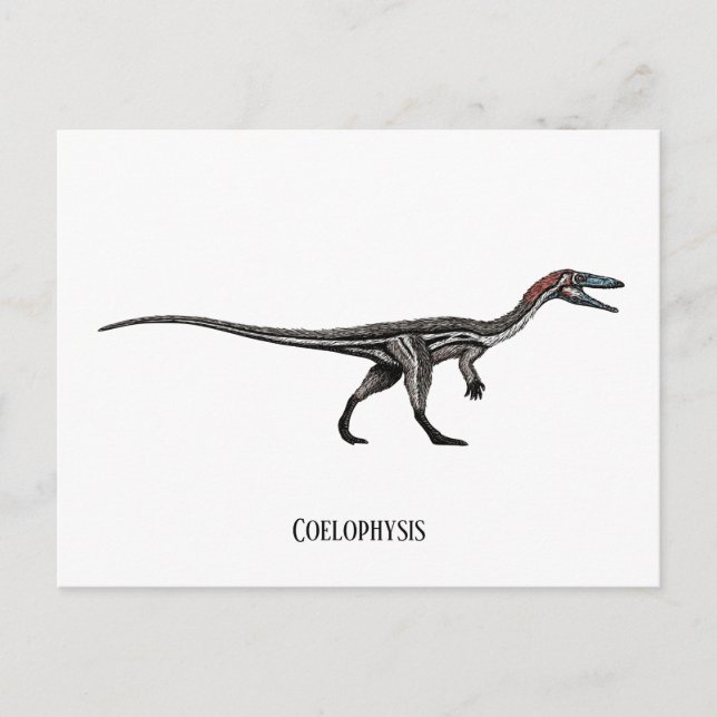 Coelophysis dinosaurier postkarte (Vorderseite)