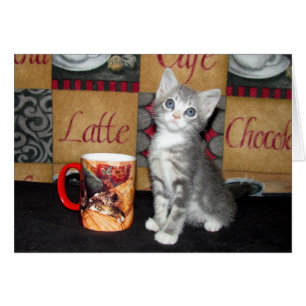 Coffe, Tee oder Meow