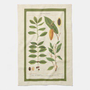 Coffee Antique Tee Botanische Getränke Pflanze Cha Handtuch