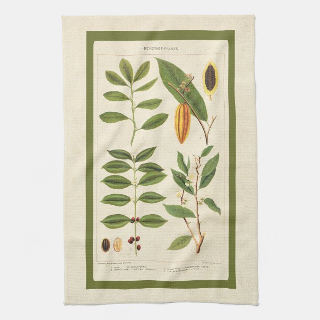 Coffee Antique Tee Botanische Getränke Pflanze Cha Handtuch (Vertikal)