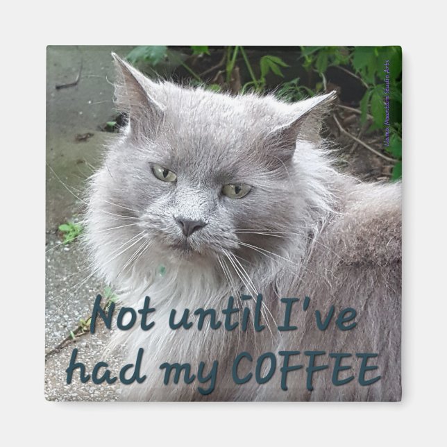 Coffee Cat Magnet #1 - Twig (Vorne)