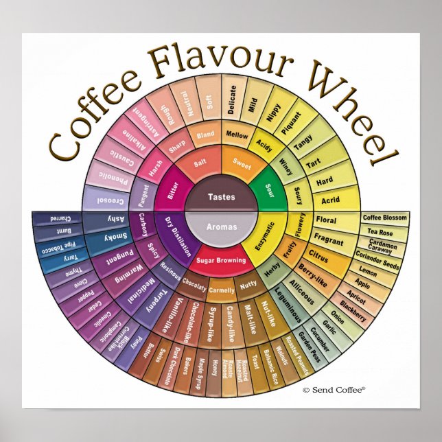 Coffee Flavor Wheel Wall Art - Große Poster (Vorne)
