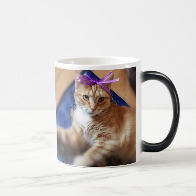 Coffee Mug Cat Verwandlungstasse (Rechts)