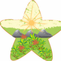 coffee/ tea   jar/ pot