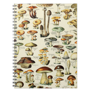 Cogagecore Mushrooms Vintag Naturalist Notizblock