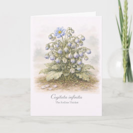 Cogitata infinita - Der endlose Denker Botanisch Karte