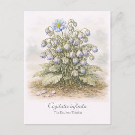 Cogitata infinita - The Endless Thinker Botanical Postkarte