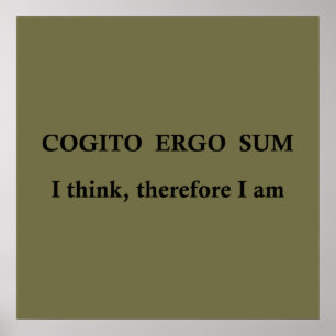 Cogito ergo sum, lateinischer Ausdruck Poster