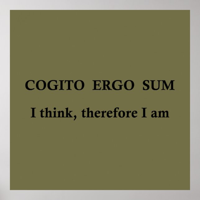 cogito ergo sum, lateinischer Satz Poster (Vorne)