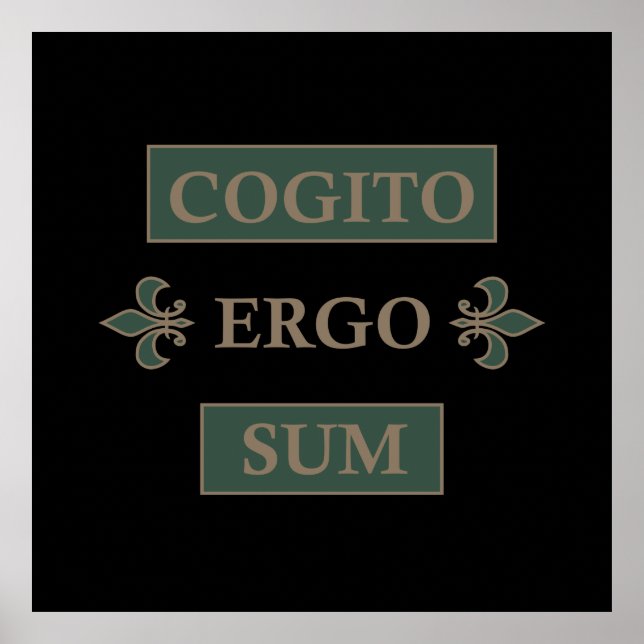 cogito ergo sum, lateinischer Satz Poster (Vorne)