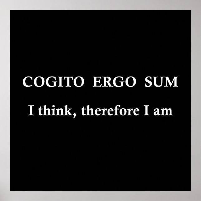 cogito ergo sum, lateinischer Satz Poster (Vorne)