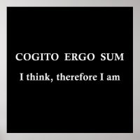 cogito ergo sum, lateinischer Satz