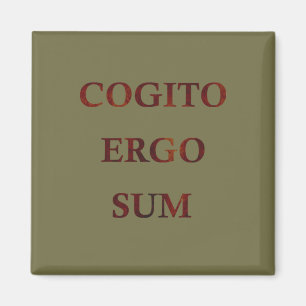 Cogito ergo sum magnet