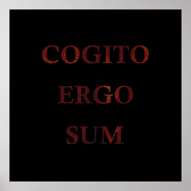 Cogito ergo sum poster (Vorne)