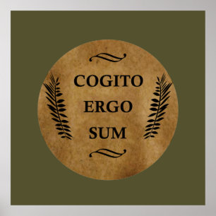 Cogito ergo sum poster
