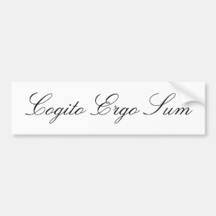 Cogito ergo Summe Autoaufkleber