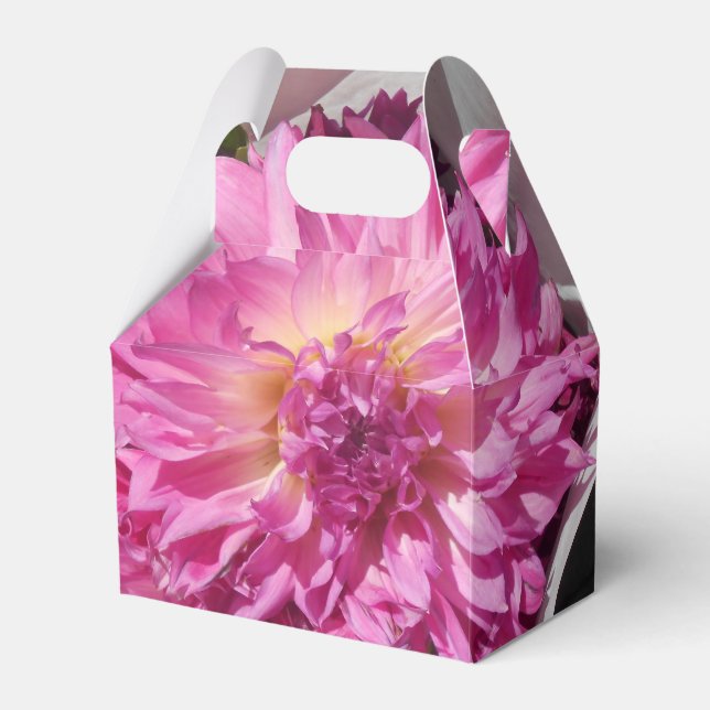 Cogniet Geschenkschachtel (Vorderseite)