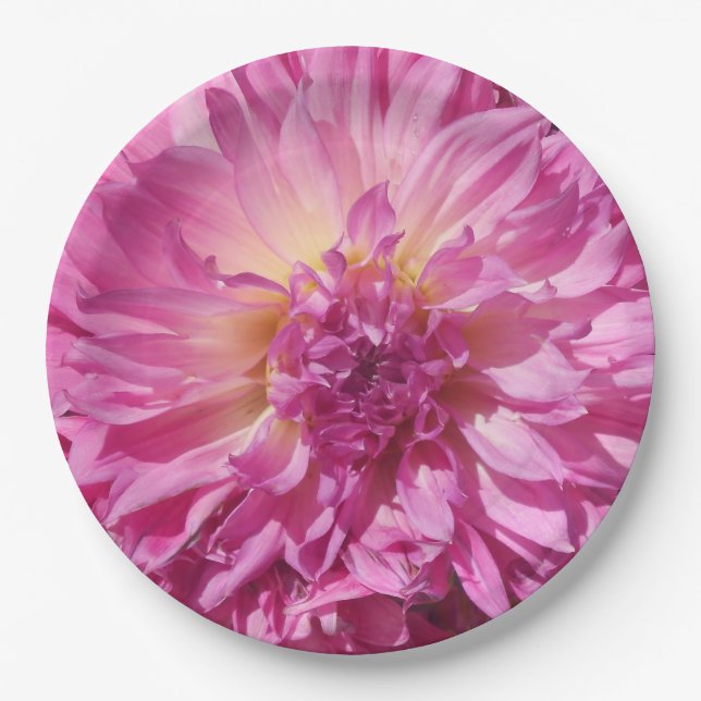 Cogniet Pappteller (Vorderseite)