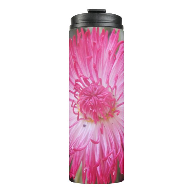 Cogniet Thermosbecher (Vorderseite)