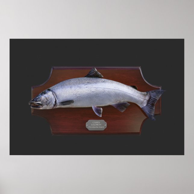 Coho Lmon Trophy Display Plaque Poster (Vorne)