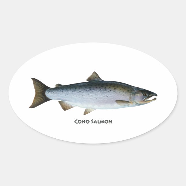 Coho Salmon Ovaler Aufkleber (Vorderseite)