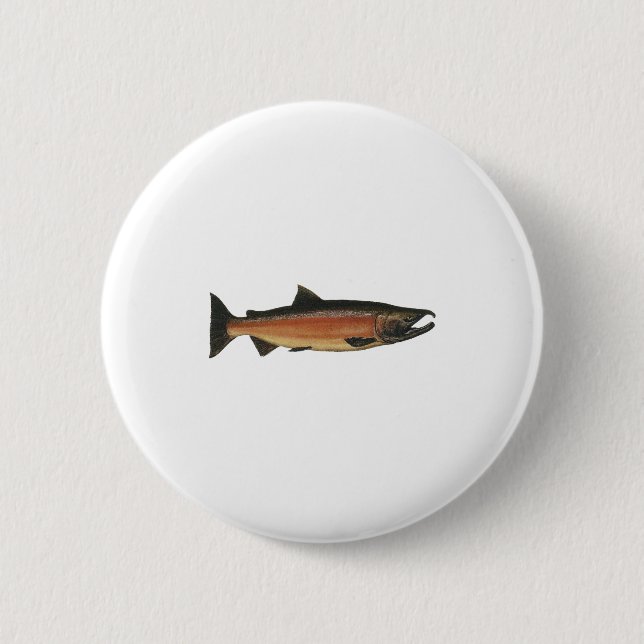 Coho - silberne Lachse (Phase laichend) Button (Vorderseite)