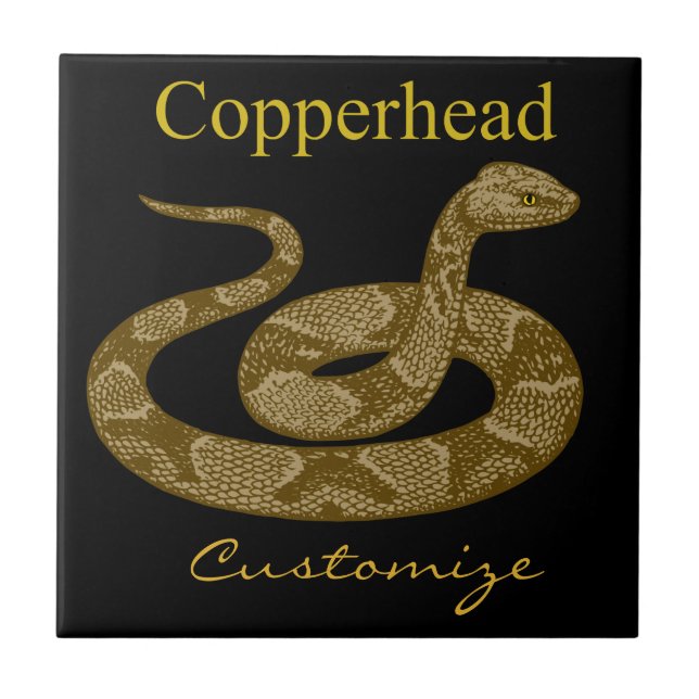Coiled Copperhead Snake Thunder_Cove Fliese (Vorderseite)