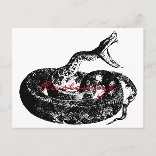 Coiled Rattlesnake Thunder_Cove Postkarte (Vorderseite)
