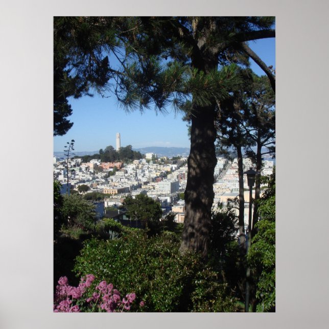 Coit Tower San Francisco Poster (Vorne)