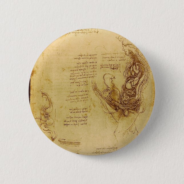 Coition eines hemisected Mannes und der Frau Button (Vorderseite)