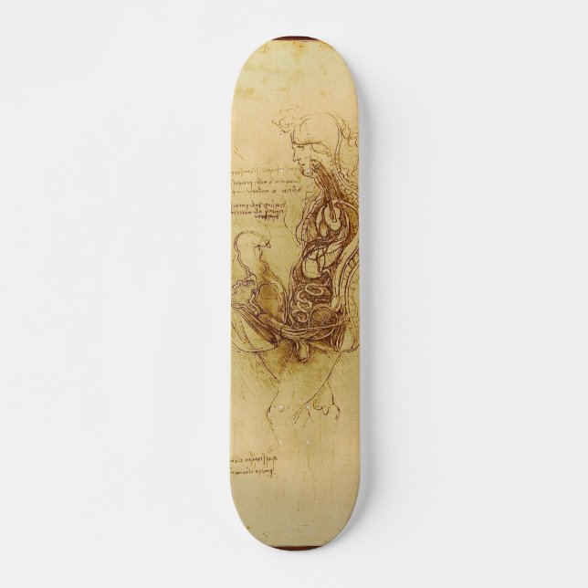 Coition eines hemisected Mannes und der Frau Skateboard (Vorne)