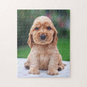 Coker Spaniel-Welpe Puzzle