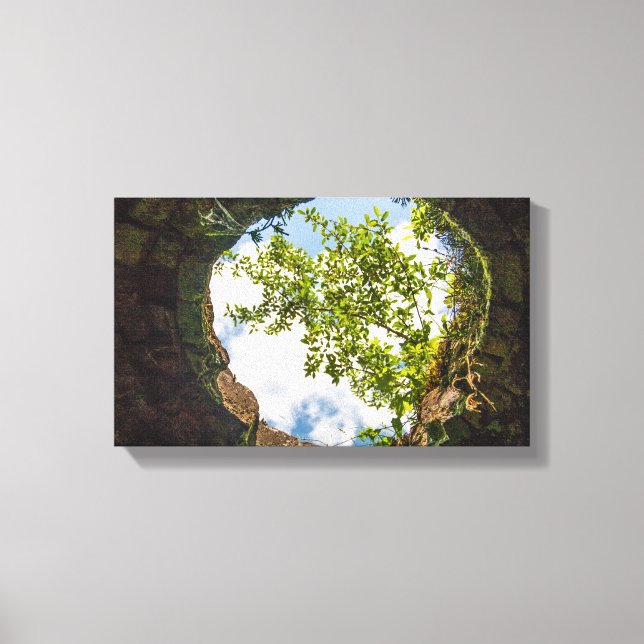 Coketown Coke Oven Ruins, West Virginia Leinwanddruck (Vorderseite)