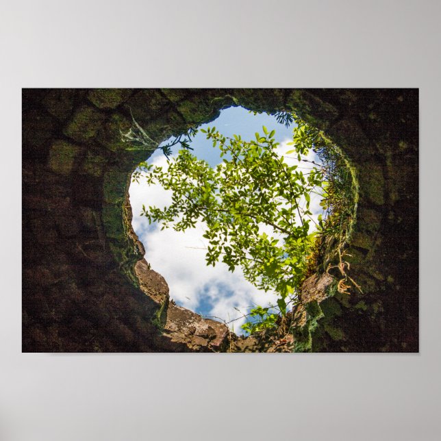 Coketown Coke Oven Ruins, West Virginia Poster (Vorne)