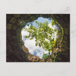 Coketown Coke Oven Ruins, West Virginia Postkarte