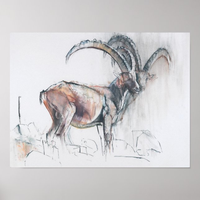 Col di Vermianaz Poster (Vorne)