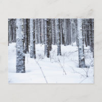 COL DU MOLLENDRUZ, MONT-LA-VILLE, SCHWEIZ