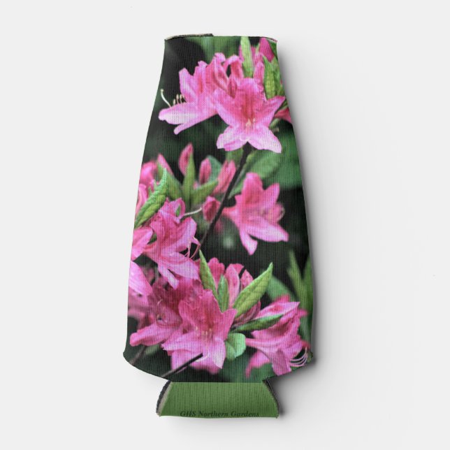 Cold Hardy Pink Azeleas Flaschenkühler (Vorderseite)