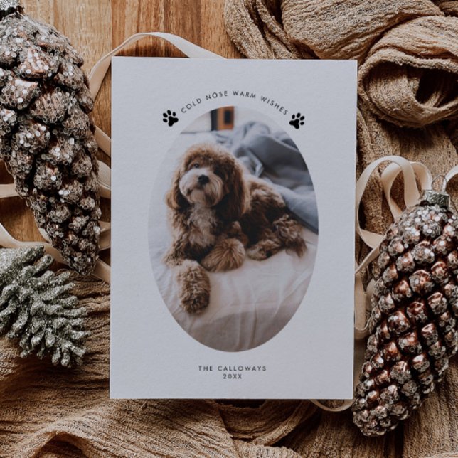 Cold Nose Warm wünscht Dog Foto Weihnachten (Von Creator hochgeladen)