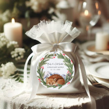 Cold Outdoor Woodland Fox Winter Baby Dusche