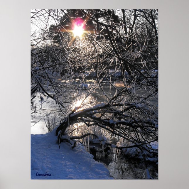 Cold River Poster (Vorne)